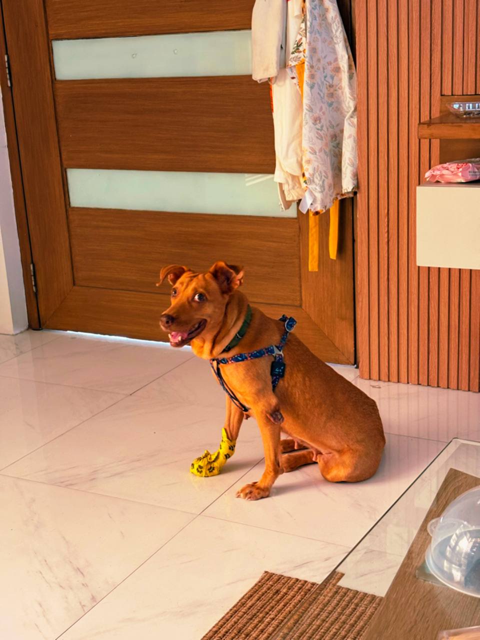 Mila smiling, sitting in a doorway